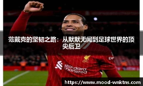 范戴克的坚韧之路：从默默无闻到足球世界的顶尖后卫